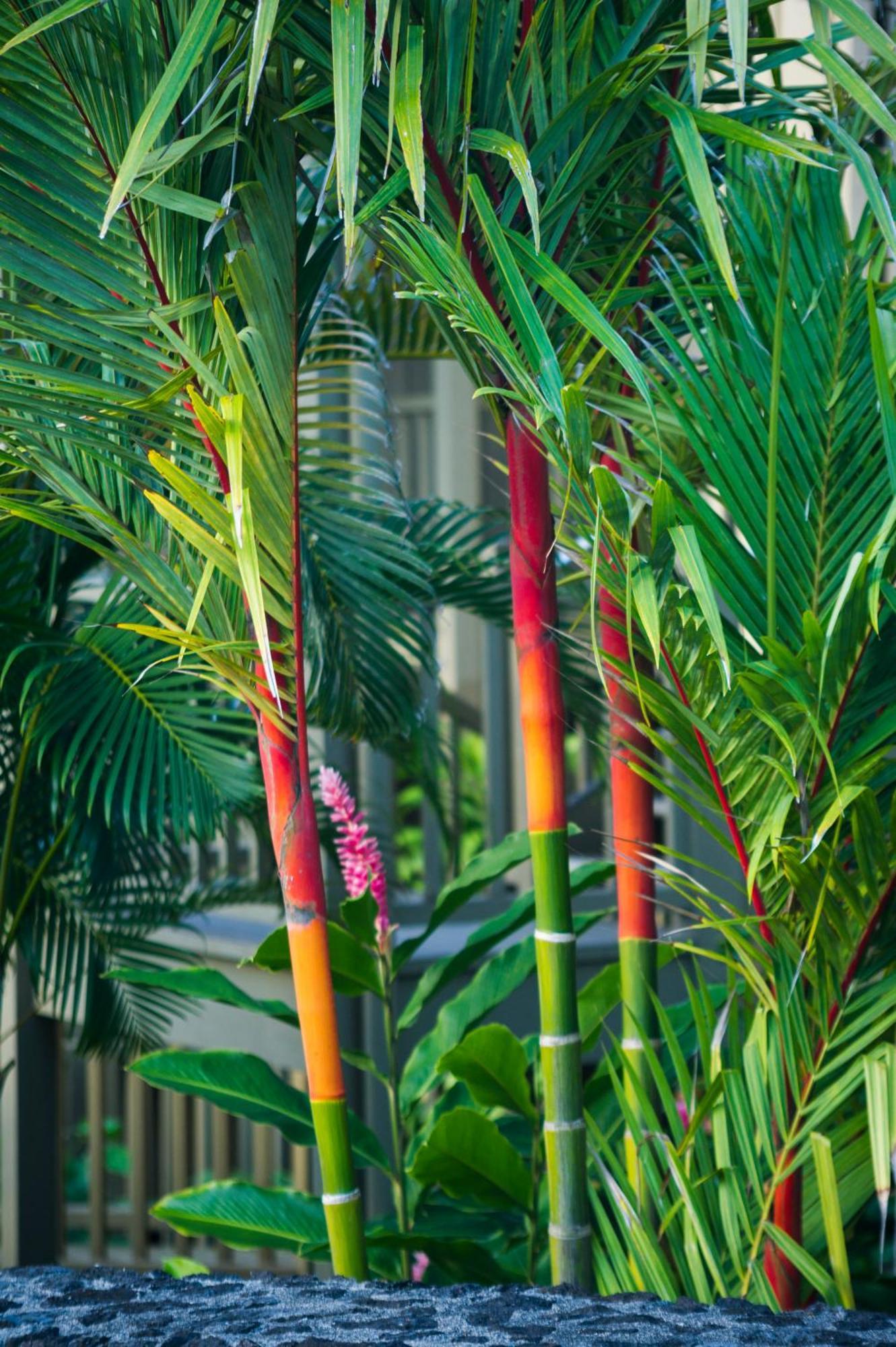 Hana Kai Maui - #106 Kuakahi Partial Oceanview Studio Exterior photo